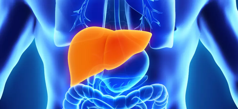 Hepatitis- Que tipos existen y como prevenir esta enfermedad Hepatitis- Que tipos existen y como prevenir esta enfermedad