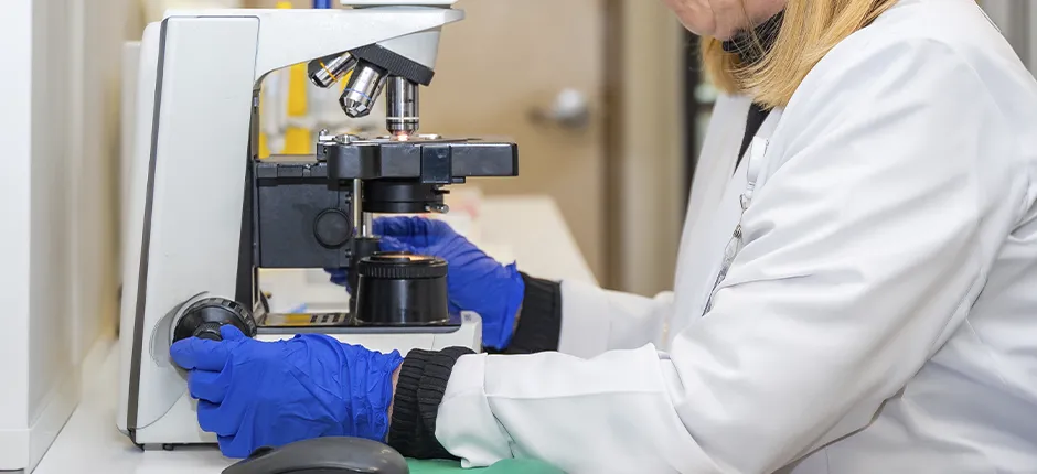 Investigacion