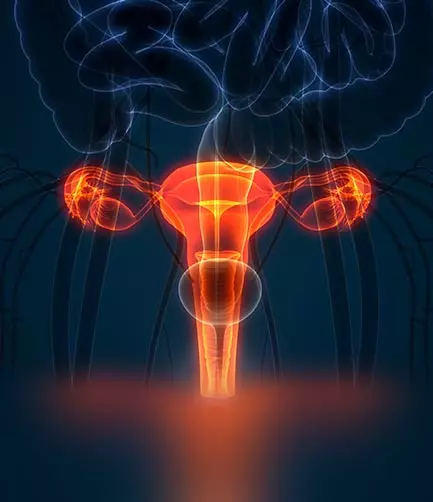 Virus papiloma humano y su relación con el cáncer cervicouterino