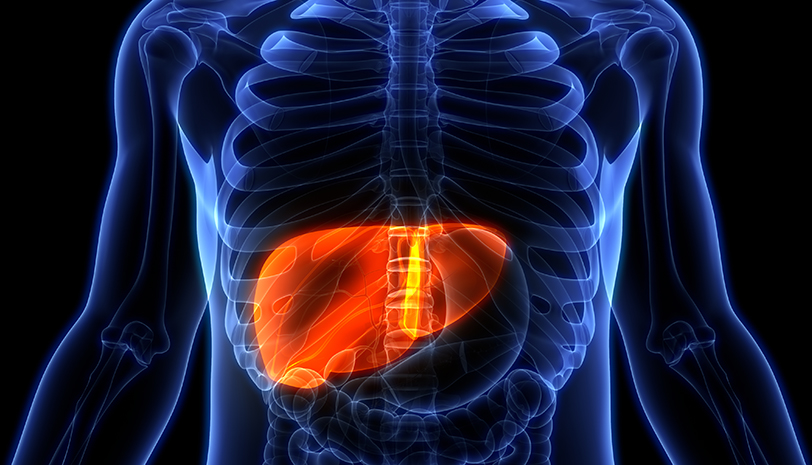 Subespecialidad hepatologiia_812x465