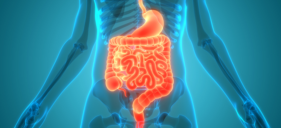 Novedad_intestinal