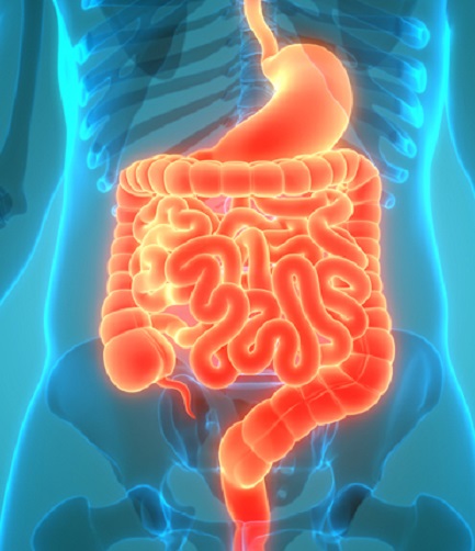 Enfermedad inflamatoria intestinal: más que un dolor abdominal