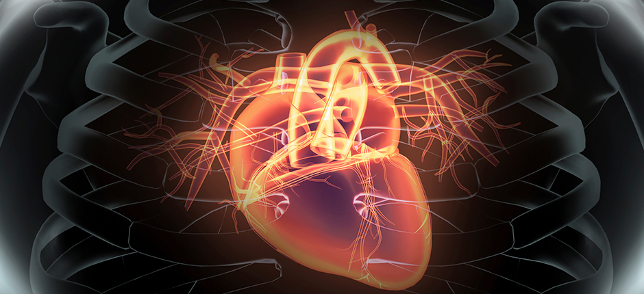 sera-un-infarto-cardiaco sera-un-infarto-cardiaco