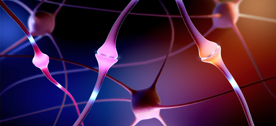 epilepsia-940x430_26032019