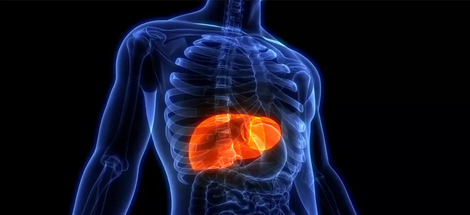 hepatitis-940x430_10072019