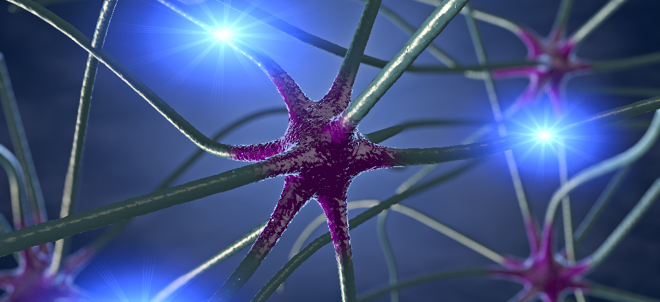 Novedades Día de la Epilepsia_940 x 430 px